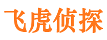 鸠江市调查取证